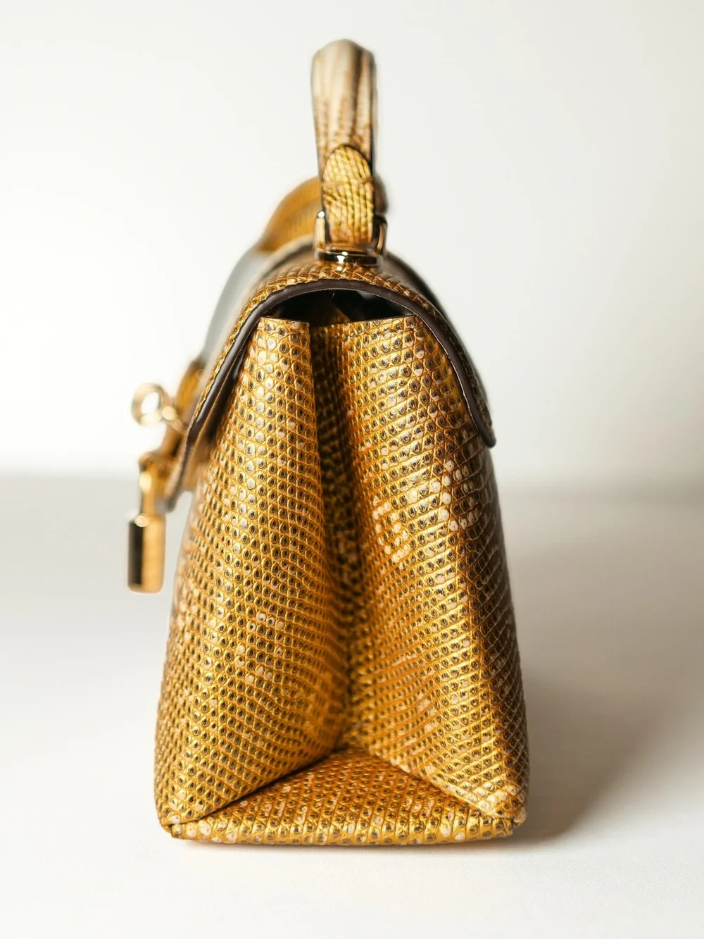 Louis Vuitton Ombre des Vents Lizard Bag Leather